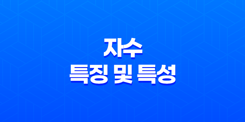 자수(子水)의 특징 및 특성 8 자수(子水)의 특징 및 특성 7