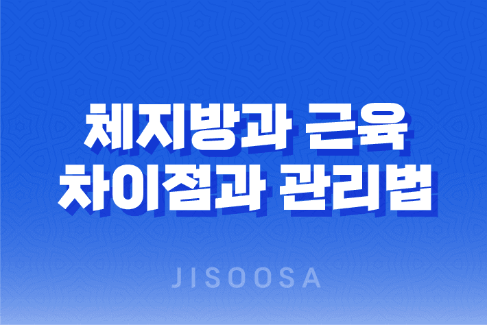 체지방과 근육, 차이점과 관리법 이해하기 1