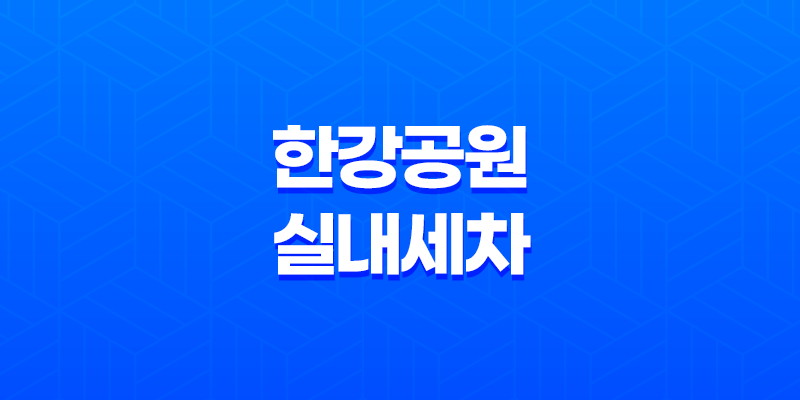 한강공원에서의 실내세차와 폭스바겐 제타의 차량용 워셔액 채우기 8 한강공원에서의 실내세차와 폭스바겐 제타의 차량용 워셔액 채우기 7