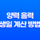 양력 음력 생일 계산 방법 및 음력 양력 차이 15