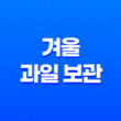 겨울 과일 보관의 핵심, 한라봉과 레드향 귤 보관 방법 21