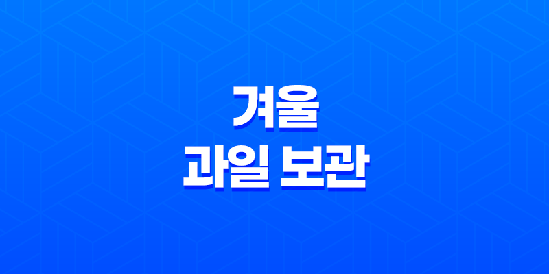 겨울 과일 보관의 핵심, 한라봉과 레드향 귤 보관 방법 8 겨울 과일 보관의 핵심, 한라봉과 레드향 귤 보관 방법 7