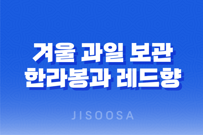 겨울 과일 보관의 핵심, 한라봉과 레드향 귤 보관 방법 1