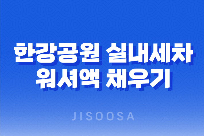 한강공원에서의 실내세차와 폭스바겐 제타의 차량용 워셔액 채우기 1