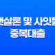 2023년 햇살론 및 사잇돌 중복대출 전략 25