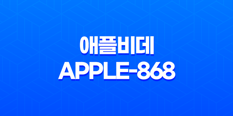 애플비데 APPLE-868 리뷰: 물탱크 없는 혁신적인 편리함 8 애플비데 APPLE-868 리뷰: 물탱크 없는 혁신적인 편리함 7