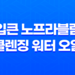 입큰 노프라블럼 클렌징 워터 오일, 강력한 세정력과 건강한 피부 케어 17