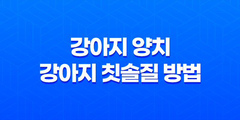 강아지 양치 강아지 칫솔질 방법, 양치질에 익숙해지는 법 8 강아지 양치 강아지 칫솔질 방법, 양치질에 익숙해지는 법 7