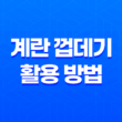 계란 껍데기의 놀라운 활용 방법을 알아보자! 17