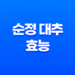 건강에 좋은 순정 대추의 효능과 대추차 레시피 29