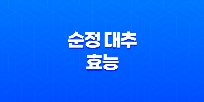 건강에 좋은 순정 대추의 효능과 대추차 레시피 8 건강에 좋은 순정 대추의 효능과 대추차 레시피 7
