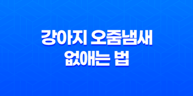 강아지 오줌냄새 없애는 법 : 스멜탄으로 쾌적한 공간 만들기 71