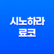 시노하라 료코 - 가수에서 배우로, 그녀의 성장 이야기 17