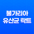 불가리아 유산균 락트, 장 건강에 미치는 놀라운 효과 17
