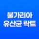 불가리아 유산균 락트, 장 건강에 미치는 놀라운 효과 17