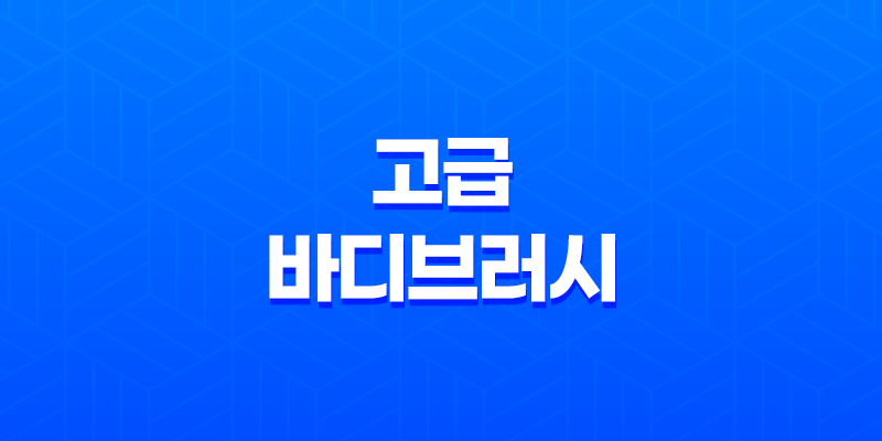 고급 바디브러시 추천! 웨신 바디브러쉬와 헤어브러쉬 2종 리뷰 7