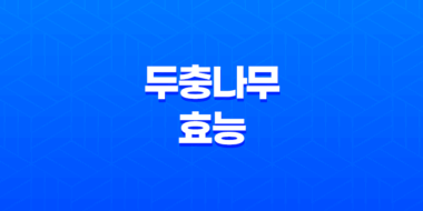 두충나무의 효능 : 혈관 건강, 정력 증진, 다이어트 41