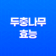 두충나무의 효능 : 혈관 건강, 정력 증진, 다이어트 45