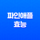 파인애플의 다양한 효능과 건강에 미치는 영향 24 파인애플의 다양한 효능과 건강에 미치는 영향 23