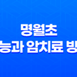 명월초 효능과 암치료 방법 27