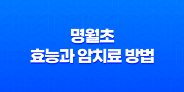 명월초 효능과 암치료 방법 53