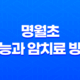 명월초 효능과 암치료 방법 21