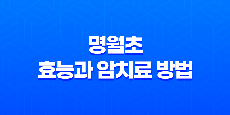 명월초 효능과 암치료 방법 8 명월초 효능과 암치료 방법 7