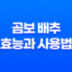 곰보 배추의 다양한 효능과 사용법 27