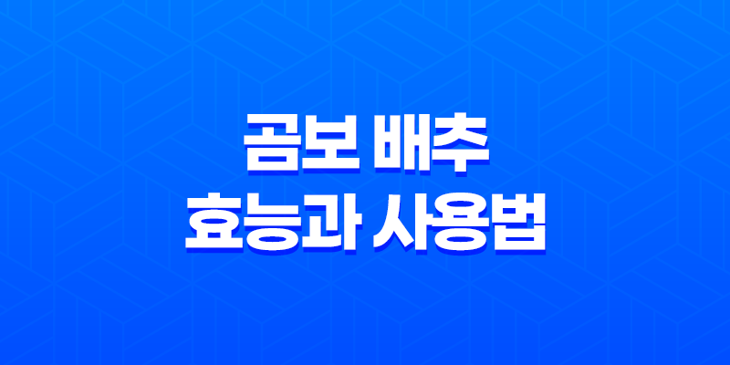 곰보 배추의 다양한 효능과 사용법 7