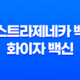 아스트라제네카 백신과 화이자 백신의 차이 29
