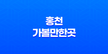 홍천 가볼만한곳 - 휘바 핀란드 양떼목장 체험 후기 67