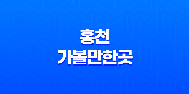 홍천 가볼만한곳 - 휘바 핀란드 양떼목장 체험 후기 8 홍천 가볼만한곳 - 휘바 핀란드 양떼목장 체험 후기 7