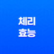 체리 효능 및 부작용 총정리 45
