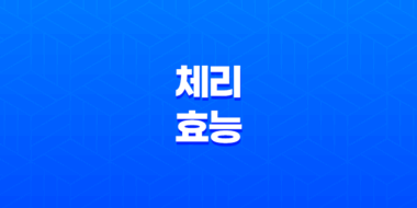 체리 효능 및 부작용 총정리 15