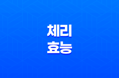 체리 효능 및 부작용 총정리 17