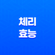 체리 효능 및 부작용 총정리 11