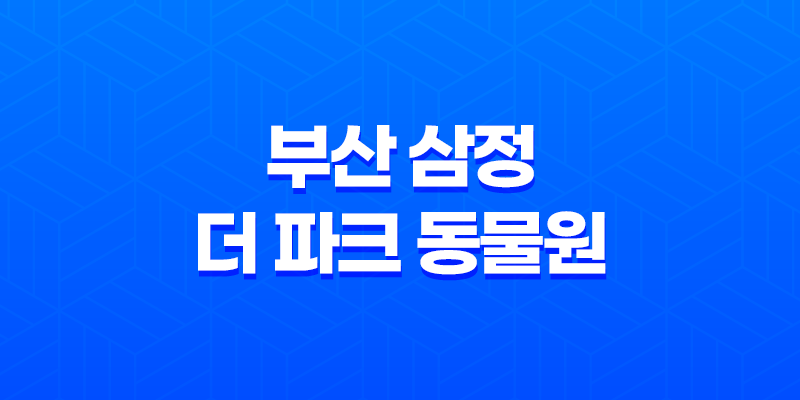 부산 삼정 더 파크 동물원과 휴게소에서의 하루 8 부산 삼정 더 파크 동물원과 휴게소에서의 하루 7