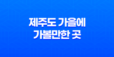 제주도 가을에 가볼만한 곳, 제주 불빛 정원 43