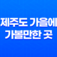 제주도 가을에 가볼만한 곳, 제주 불빛 정원 41