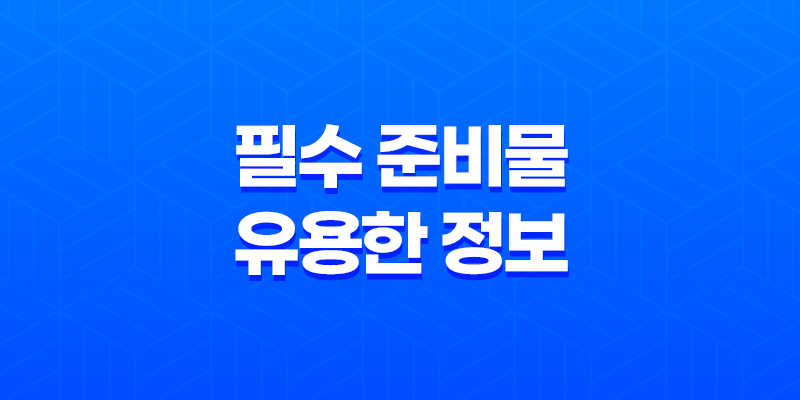 일본 여행을 위한 필수 준비물과 유용한 정보 7