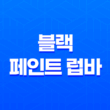블랙 페인트 럽바 : 완벽한 피부 트러블 관리의 비결 29