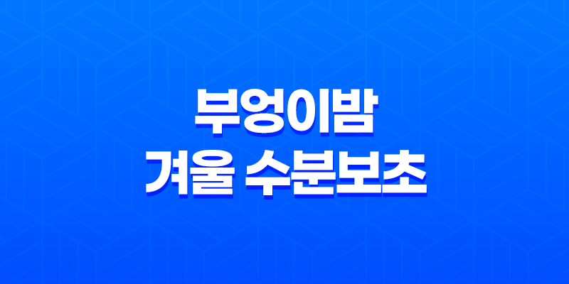 부엉이밤, 겨울 수분보초로 피부를 지켜보세요! 7
