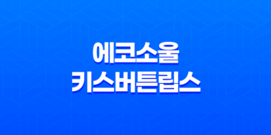 더샘 브랜드의 에코소울 키스버튼립스와 트리플 돔 섀도우 제품에 대한 리뷰 37