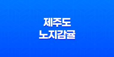제주도 노지감귤 : 신선한 겨울 간식 구매 후기 및 솔직한 평가 67