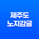 제주도 노지감귤 : 신선한 겨울 간식 구매 후기 및 솔직한 평가 31