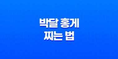 박달 홍게 찌는 법 가격 손질보관 방법 21