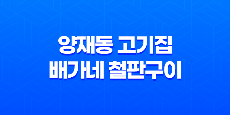 양재동 고기집 배가네 철판구이 : 맛과 풍미의 여행 7