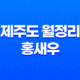 제주도 월정리 홍새우, 제주 인생 맛집 33