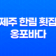 제주 한림 횟집 - 옹포바다에서 맛있는 횟을 즐겨보세요! 33