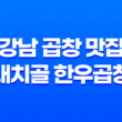 강남 곱창 맛집 대치골 한우곱창 리뷰 33